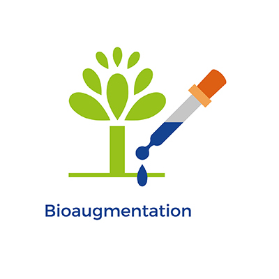 Bioaugmentation