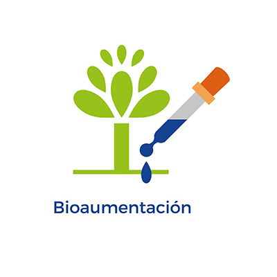 Bioaumento