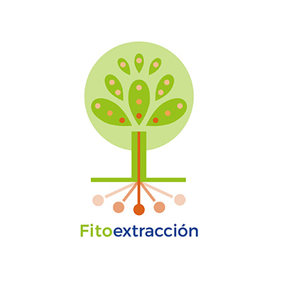 Fitoextracción