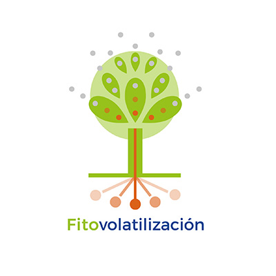 Fitovolatilización