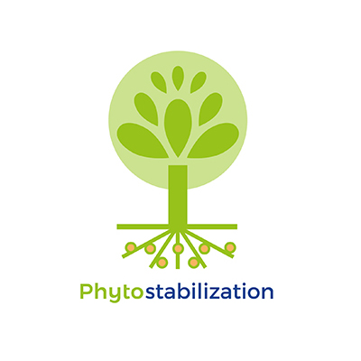 Phytostabilization