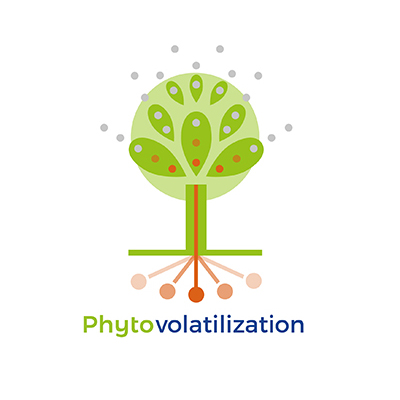 Phytovolatilization