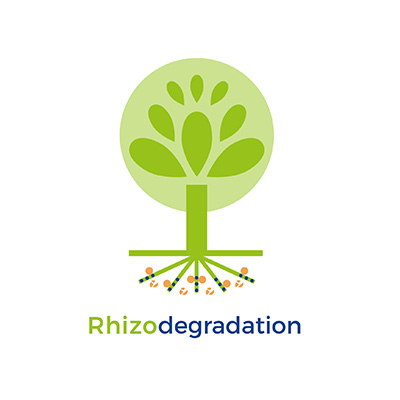 Rhizodegradation