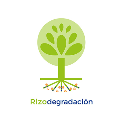 Rizodegradación