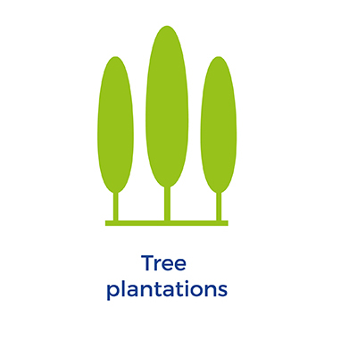 Tree plantations